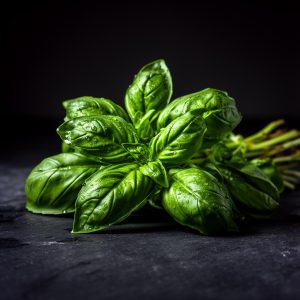 Basil