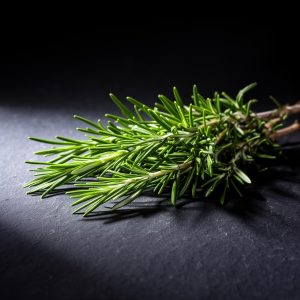 Rosemary