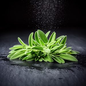 Sage